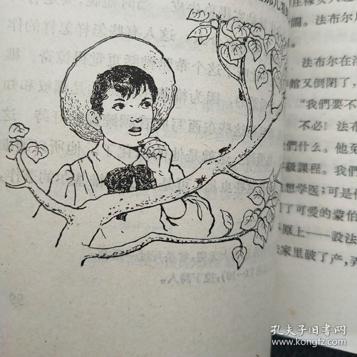 法布尔 