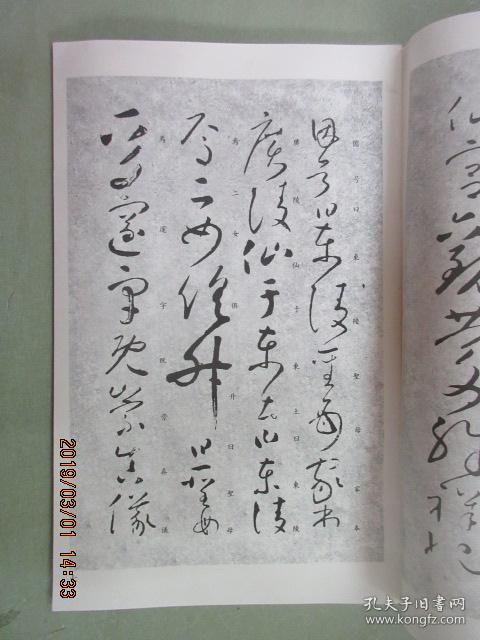 怀素草书习字帖:旁注楷书 竖排版_颜砺,颜娥 著_孔夫子旧书网