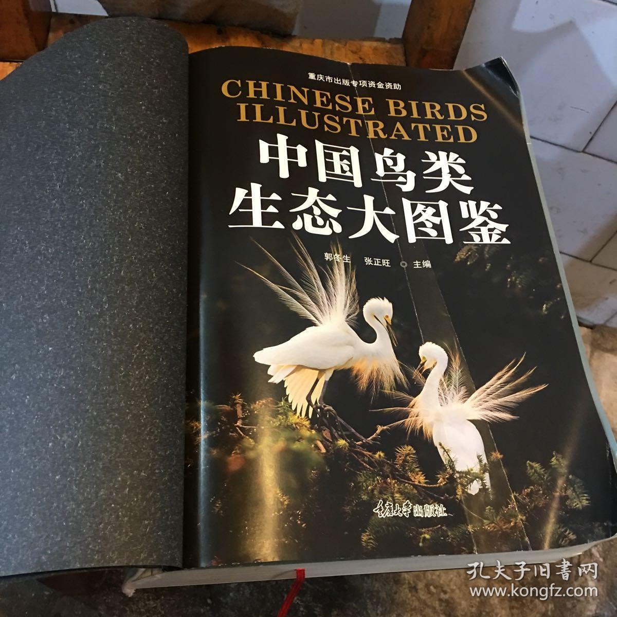 中国鸟类生态大图鉴