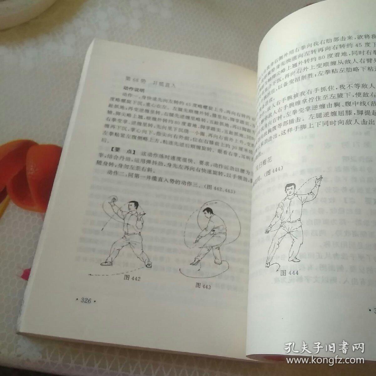 陈式太极拳拳法拳理