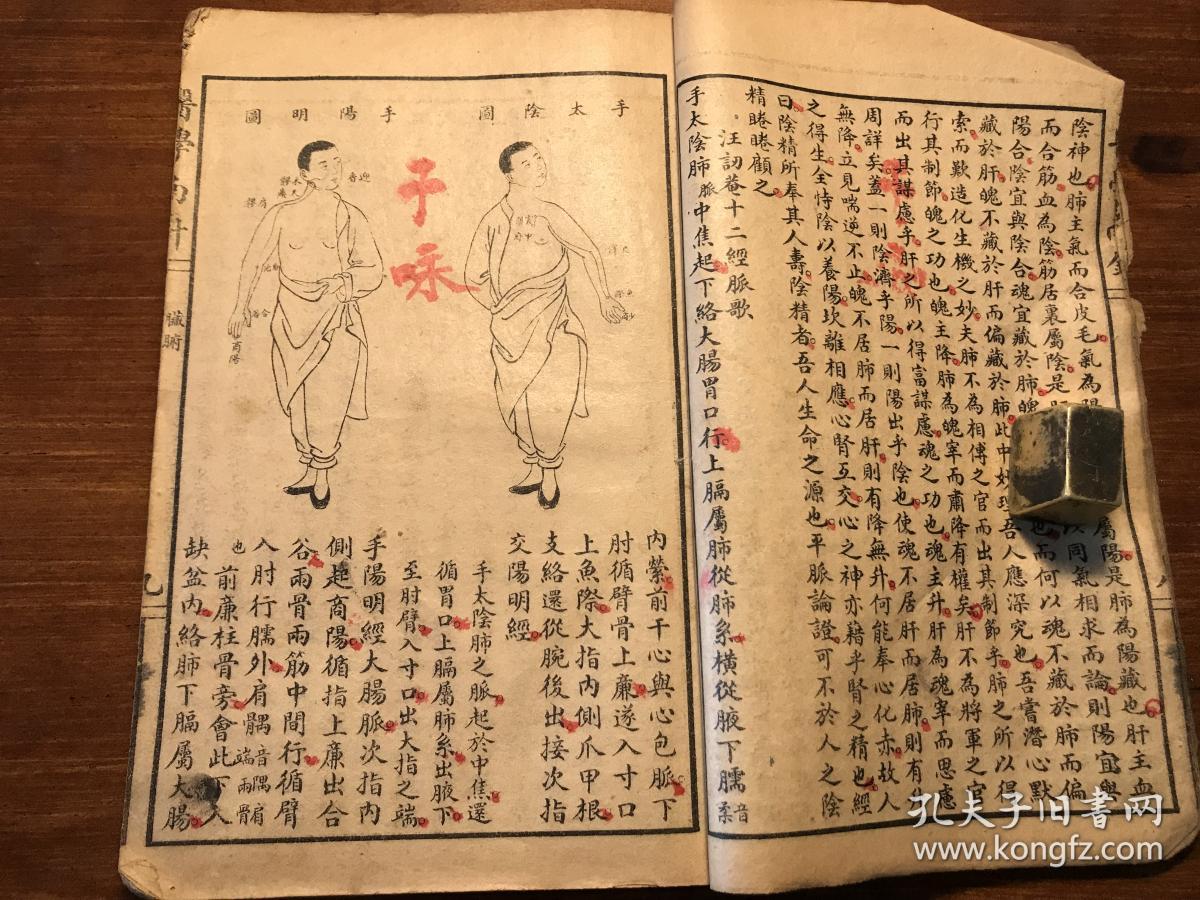 中医药古书古医书中药草药珍本:民国精印《医学南针》续集 一厚册全