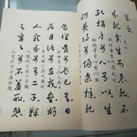 赵敏生草书胡笳十八拍