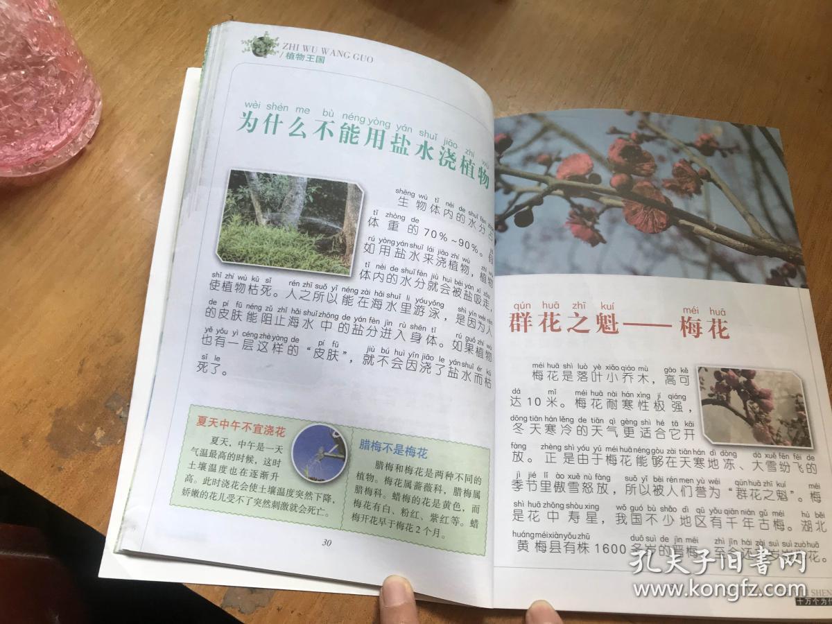 十万个为什么—植物王国