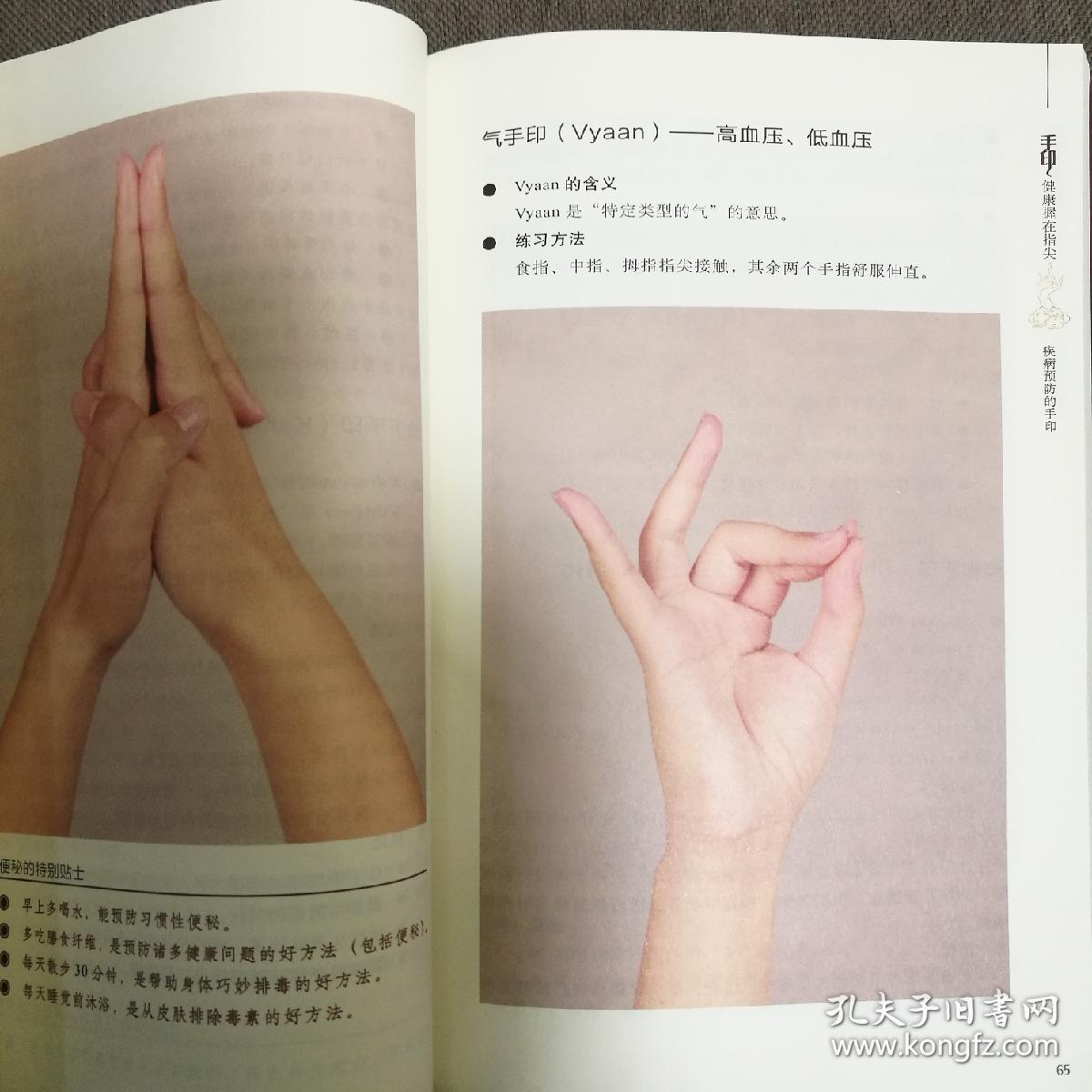 地手印(prithvi 平衡能量的两个特定手印 生命力手印(praana)