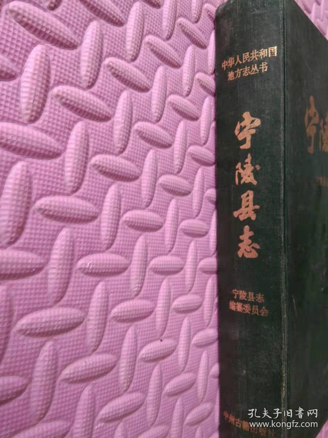 宁陵县志