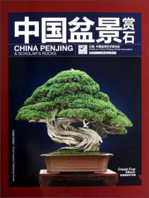 中国盆景赏石[2013-1]