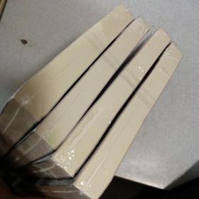 犯罪心理档案 第 1+2+3+4 季(正版全4册) 全新