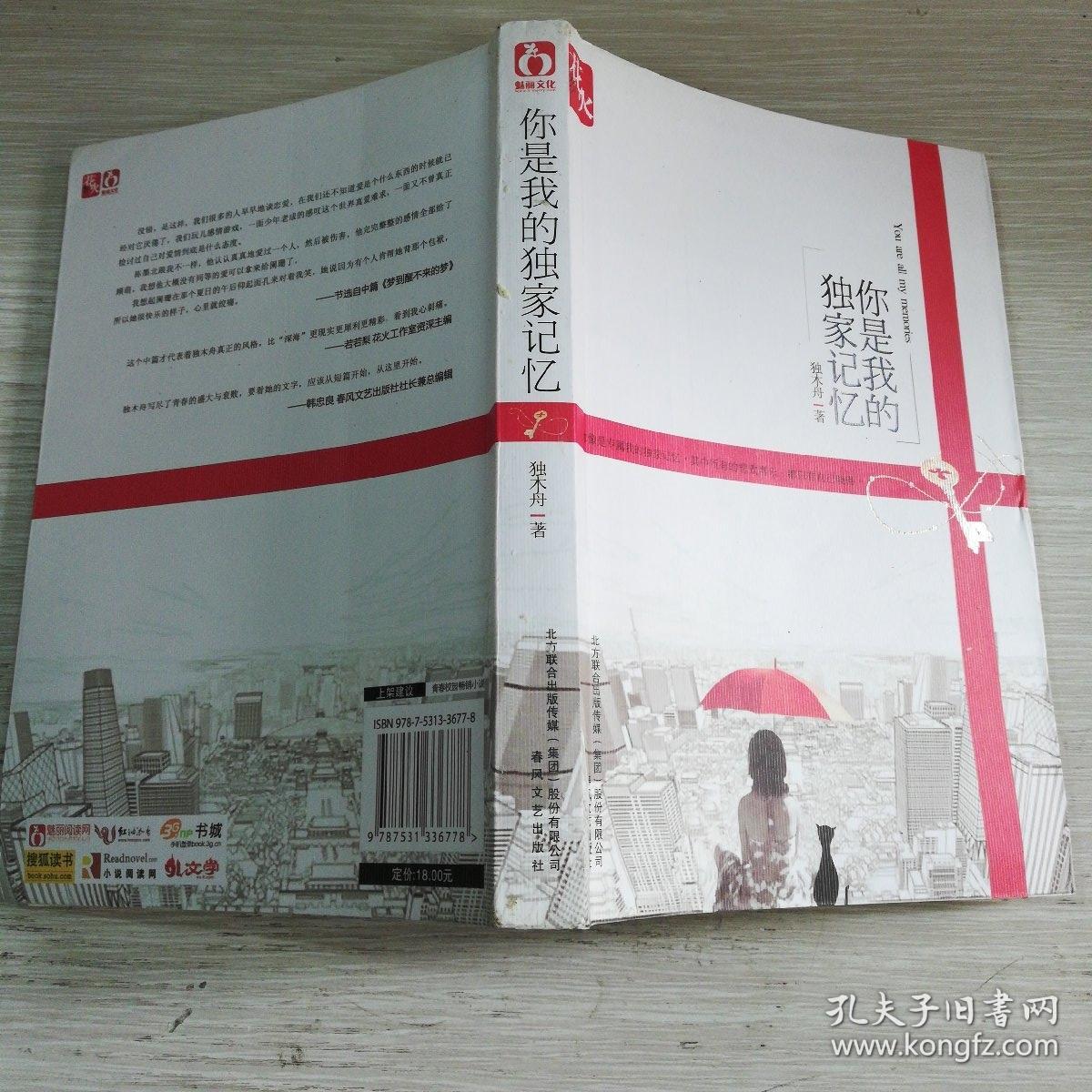 你是我的独家记忆