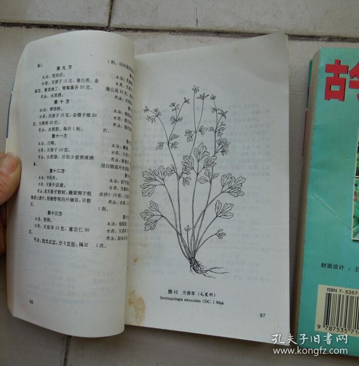 古今民间百草良方(上下卷)