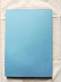 中国贸易投资适正化调查报告书