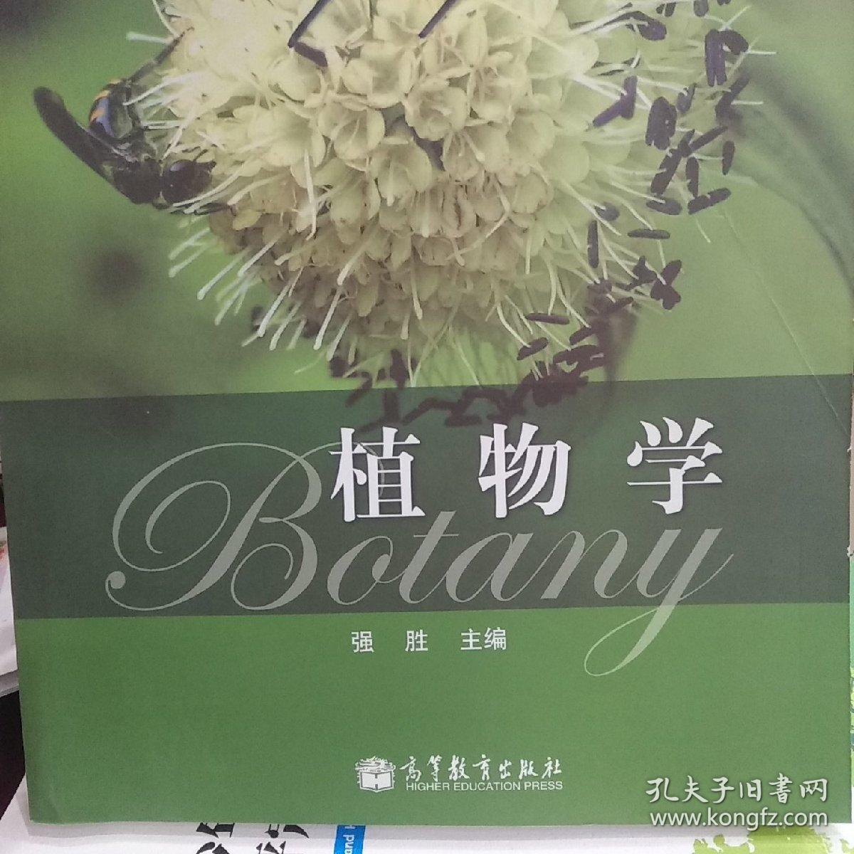 植物学(强胜 主编)_简介_价格_自然科学书籍_孔网