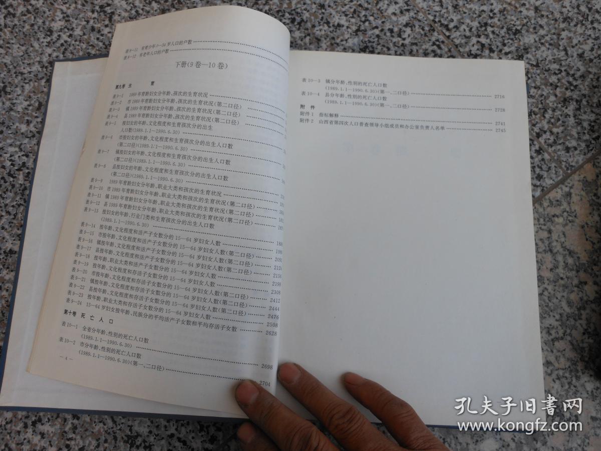 人口普查电子档怎么汇总_人口普查(2)