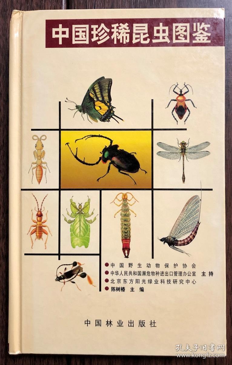 中国珍稀昆虫图鉴