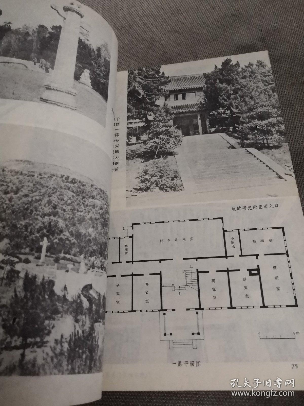 杨廷宝建筑设计作品集【1983年一版一印】