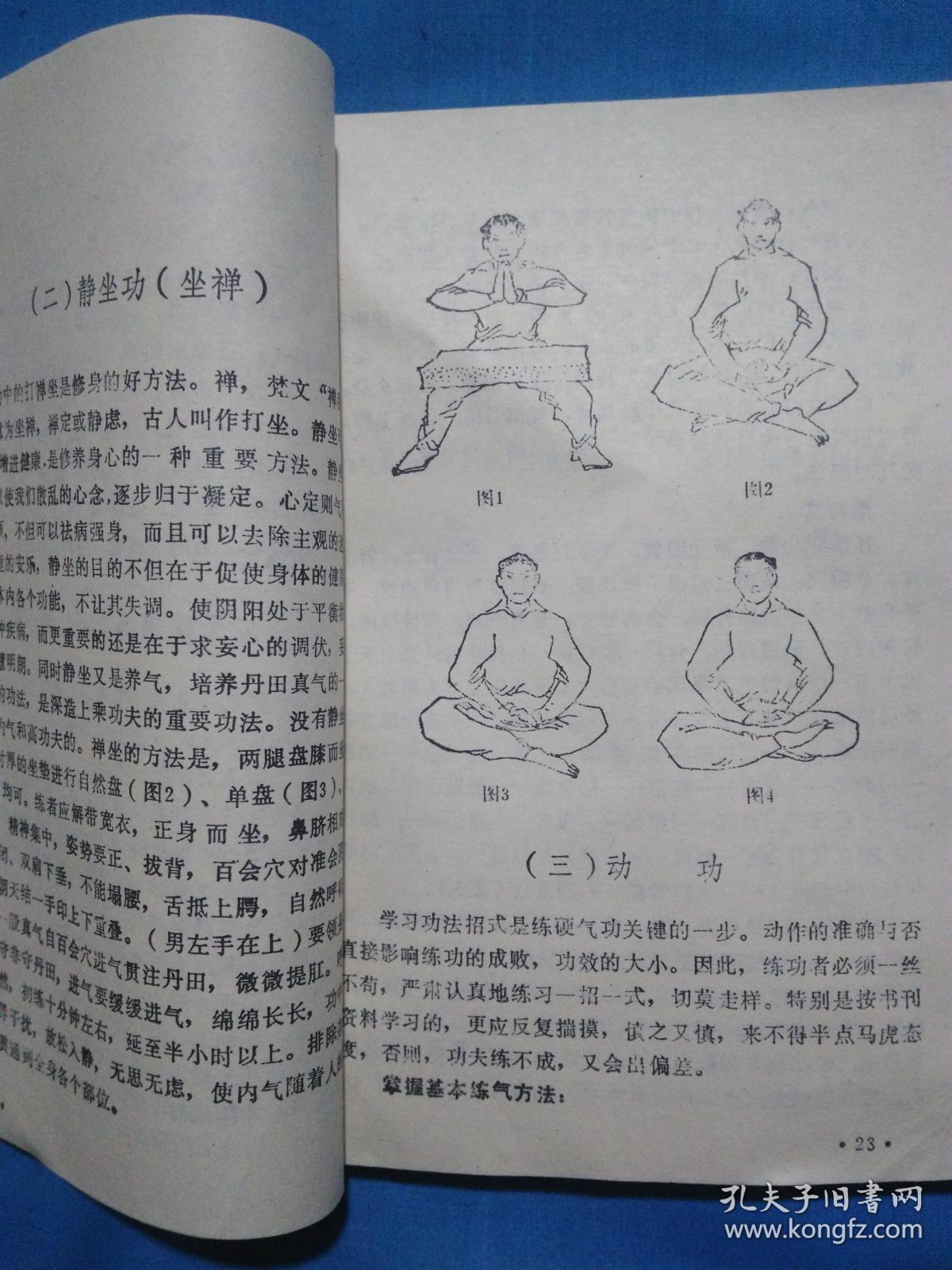 中国清静布气气功 六十四门绝技