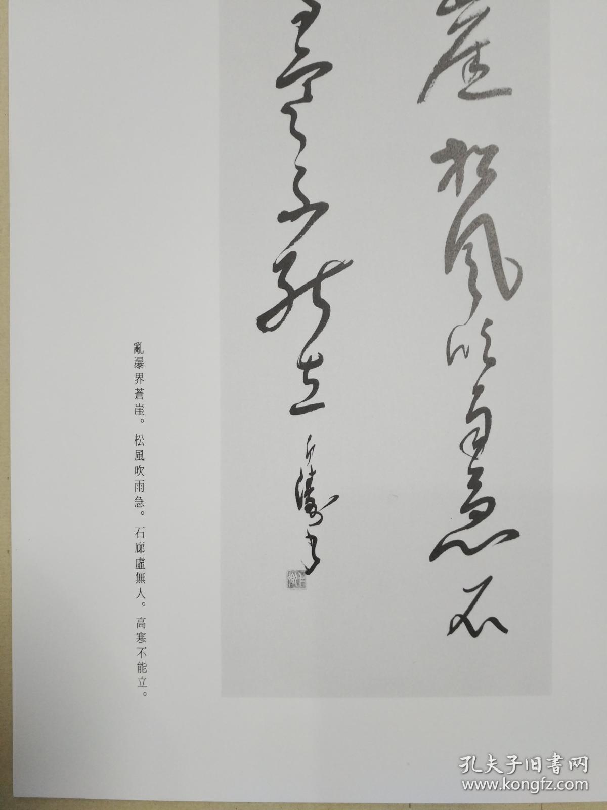 日本汉字书法作品冈本白涛乱爆界苍崖松风吹雨急石廊处无人高寒不能立