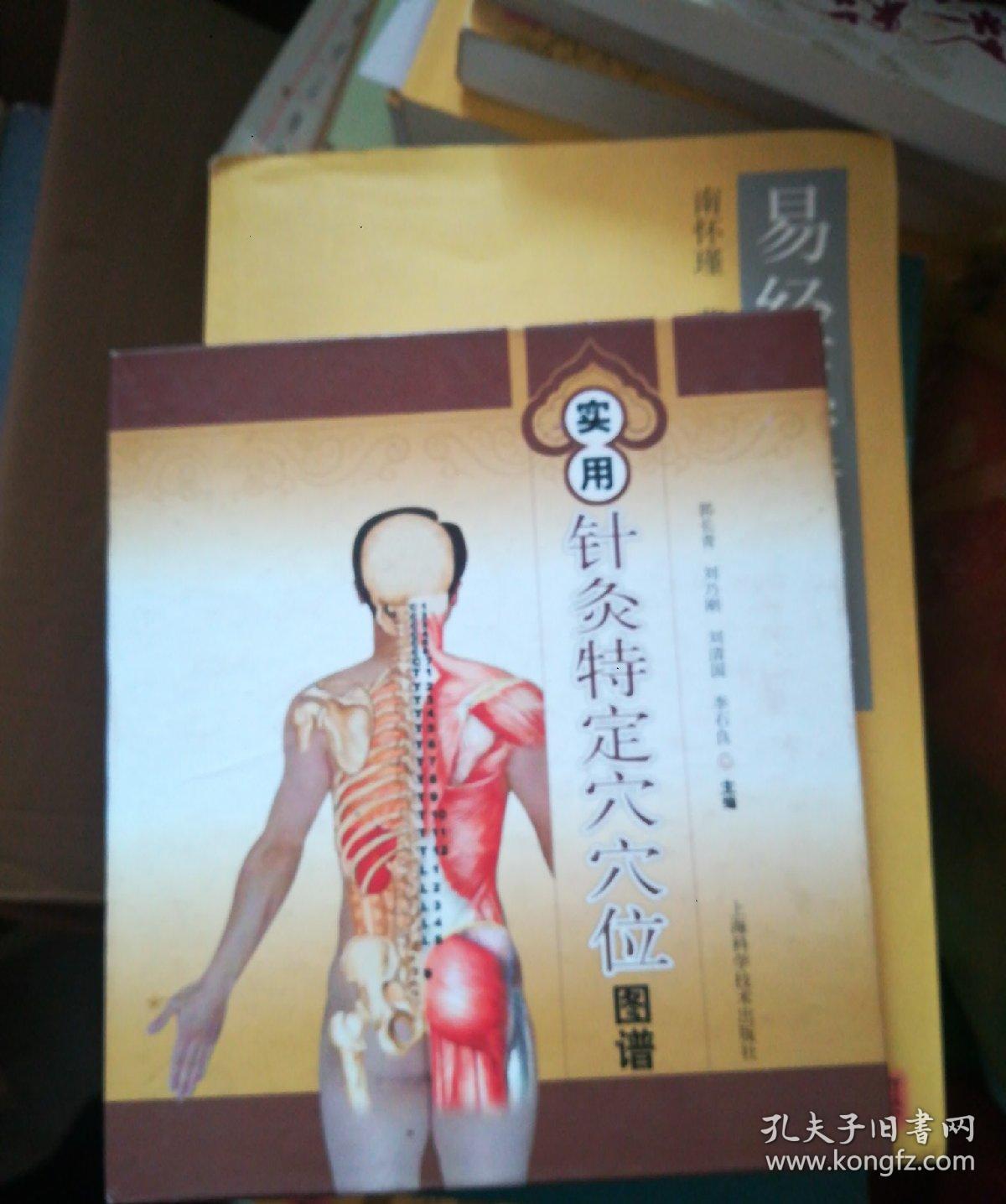实用针灸特定穴穴位图谱