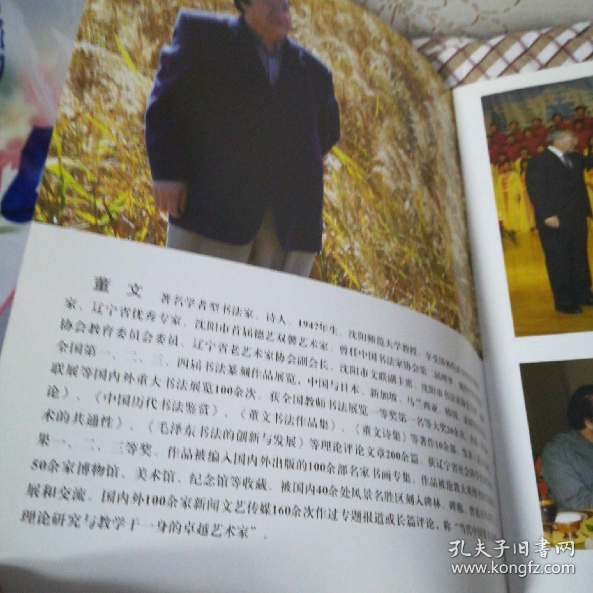 中国著名书法家董文书法艺术