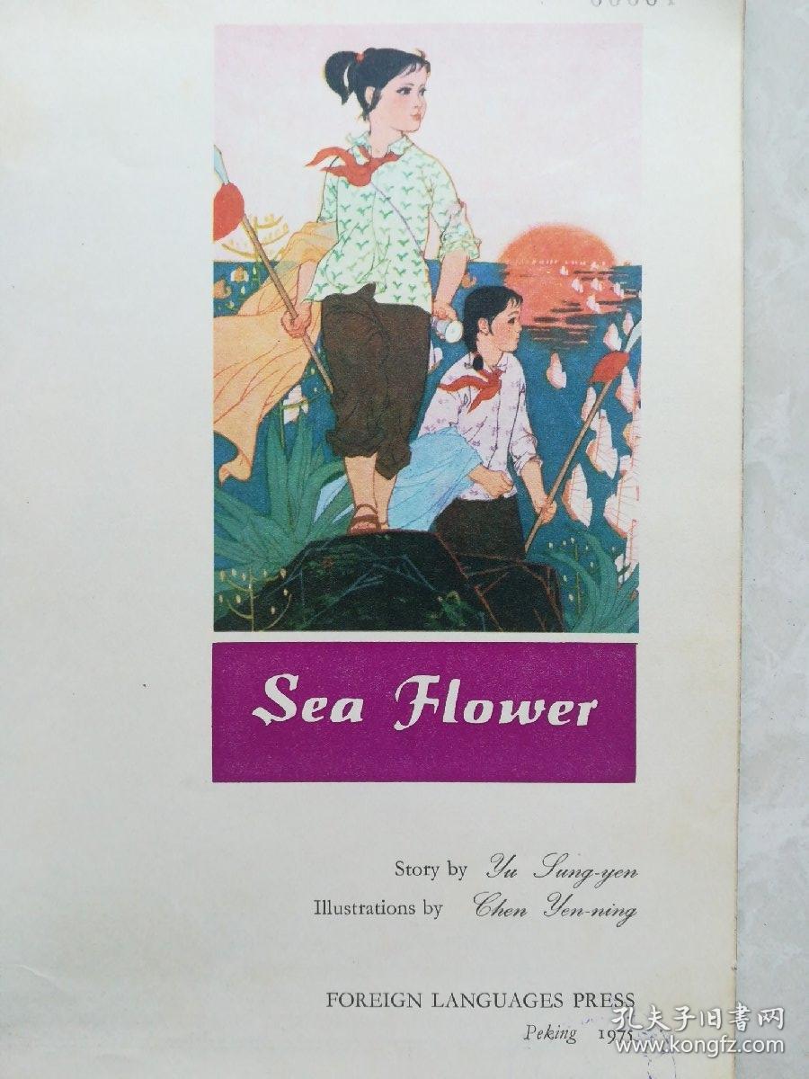 英文版彩色连环画 海花