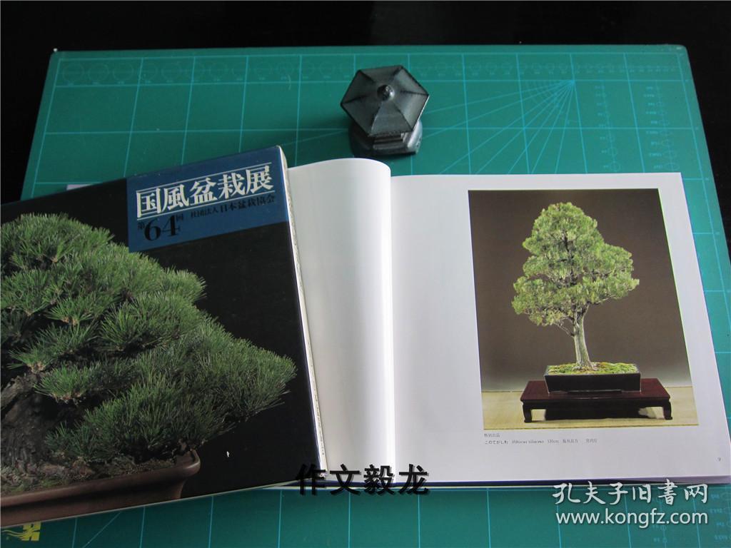 庭院/盆景/植物 ===《国风盆栽展 64》【1.5kg】_日本