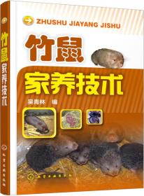 竹鼠人工养殖技术书籍 竹鼠家养技术