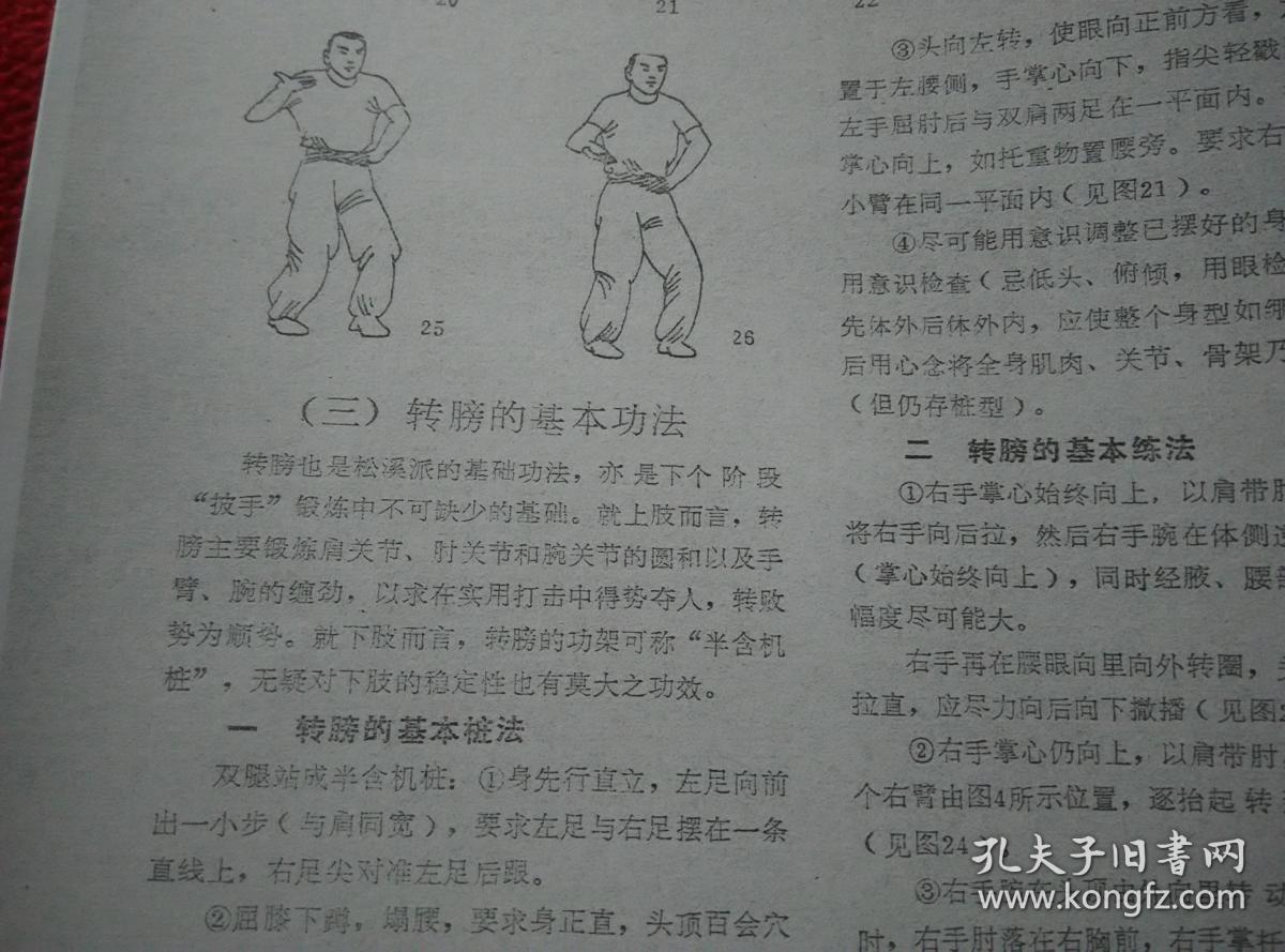 武当松溪派内壮基本功法 王维慎论三体式之精微 秘宗拳技击术 通背