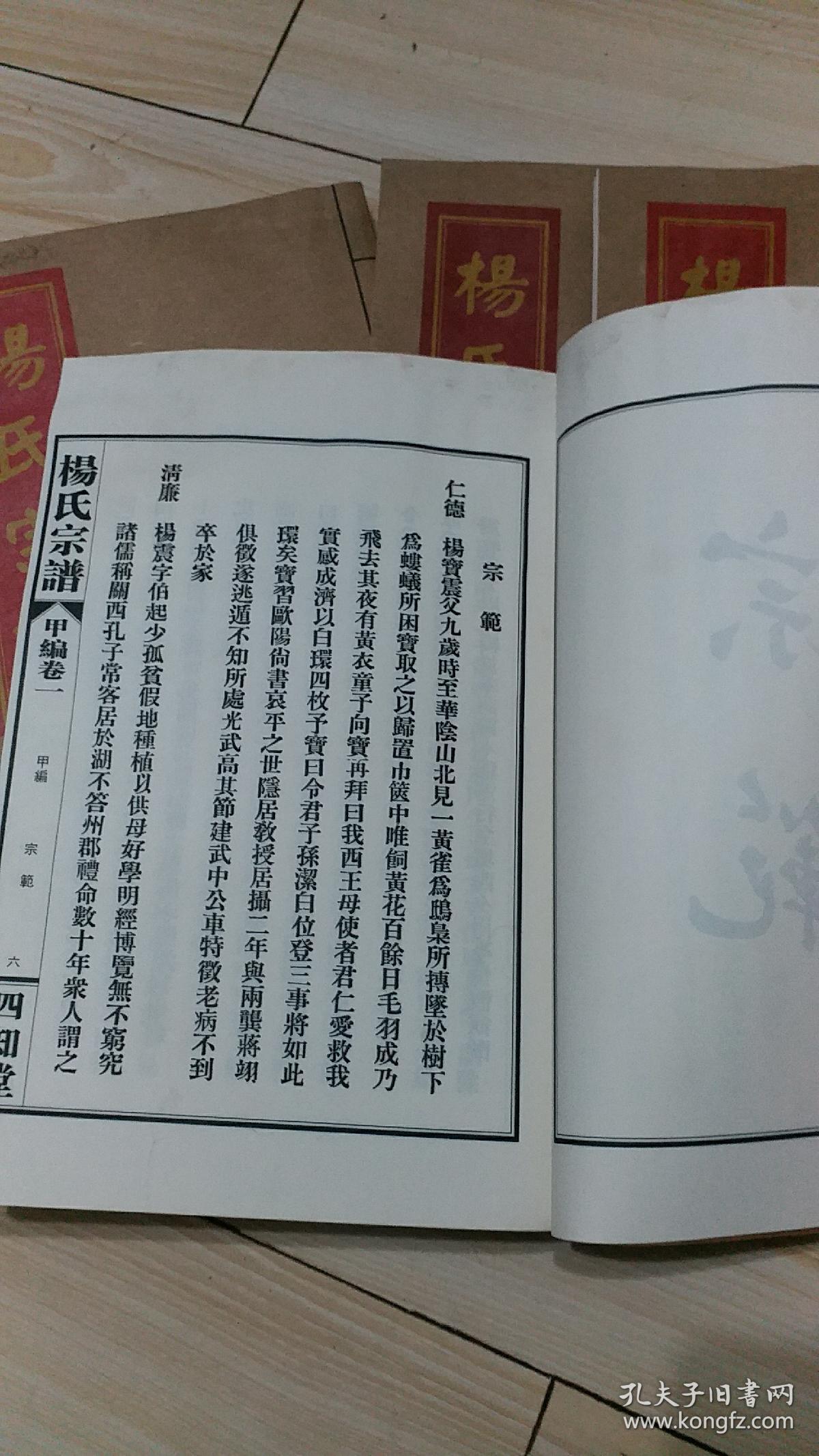 杨氏宗谱 全套13册全 四知堂