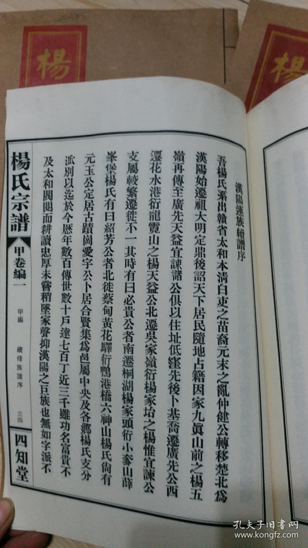 杨氏宗谱 全套13册全 四知堂