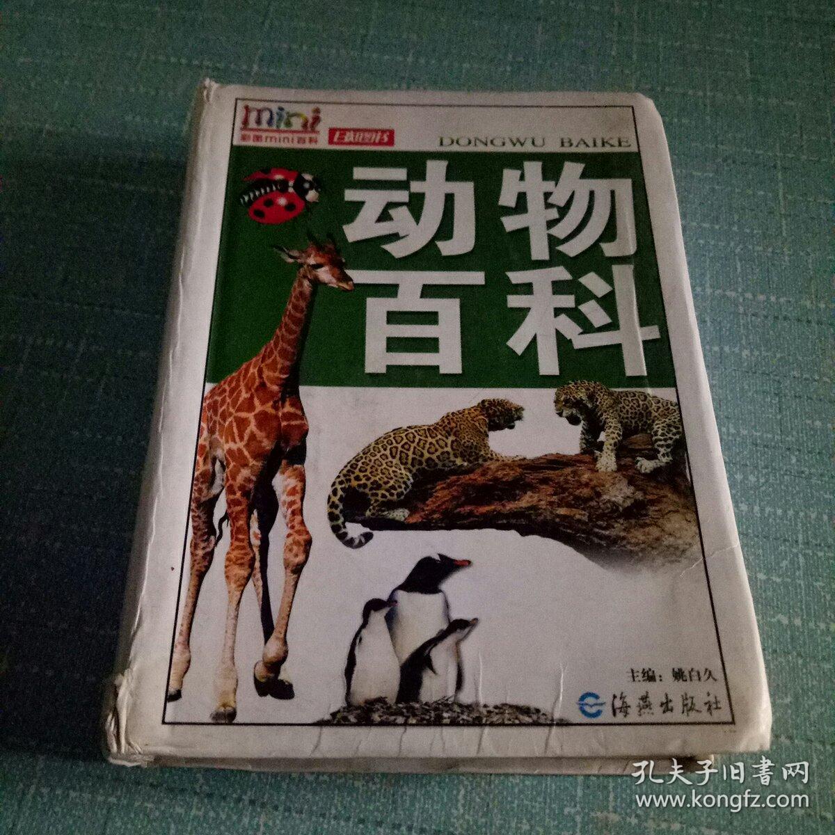 动物百科——彩图mini百科(姚启久 主编)_简介_价格_自然科学书籍_孔