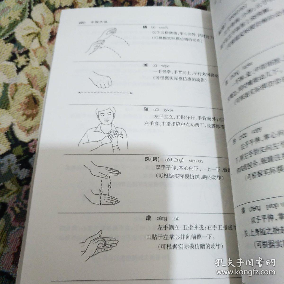 中国手语(上下修订版)