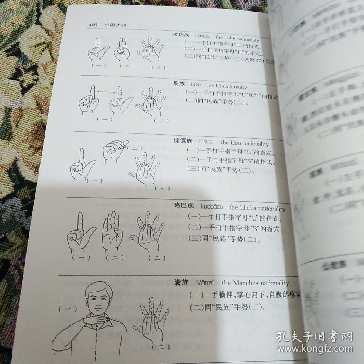 中国手语(上下修订版)