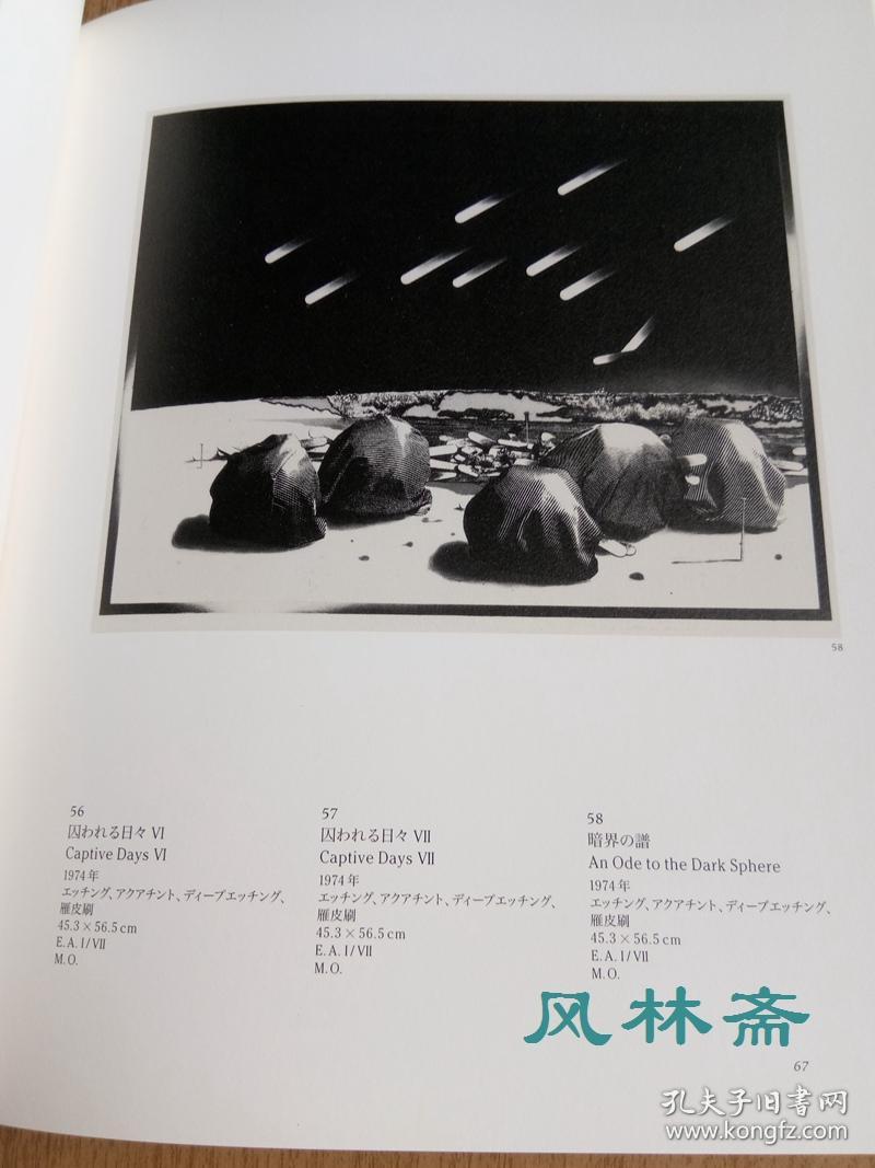 中林忠良铜版画集 创作126件 附年表 出版物等 日本当代艺术大师