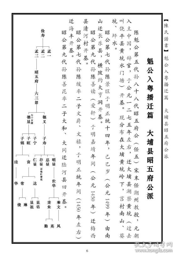 复印件陈氏族谱福建陈氏念邦公支16开400页