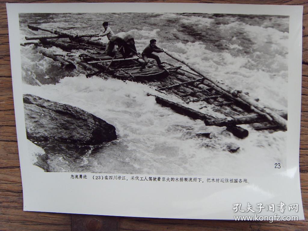 老照片:【※ 1983年,四川岷江,林业伐木工人驾驶木排顺江而下,把木材