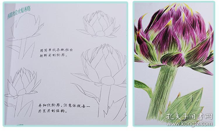 画集 国画入门 临摹画册 绘画书籍 学画画本成人 初学者 正版包邮