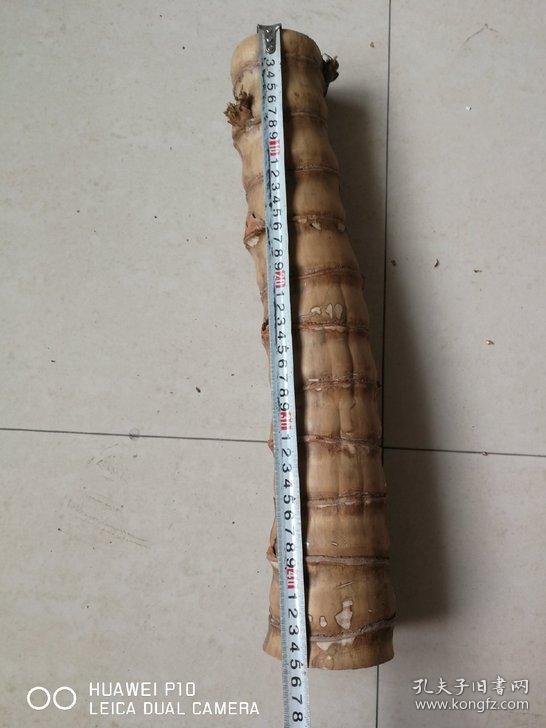 臂搁罗汉竹可做臂搁二十多年佛肚竹料长45公分