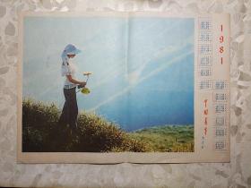 中国青年杂志社 1981年海报 年历     文件夹007