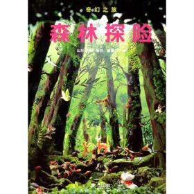 奇幻之旅——森林探险