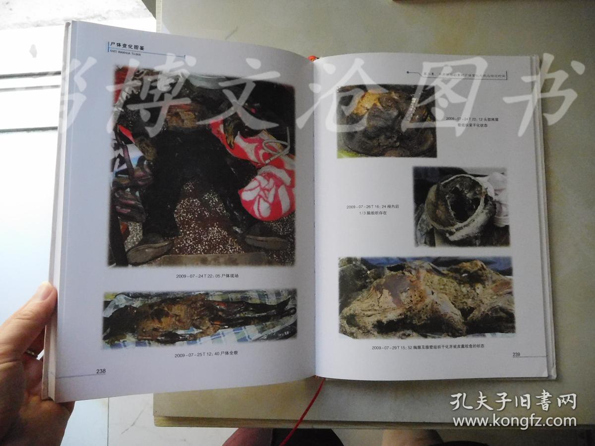 尸体变化图鉴(精装)_孔夫子旧书网