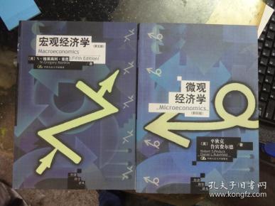 宏观经济学五个总量_宏观经济学图片