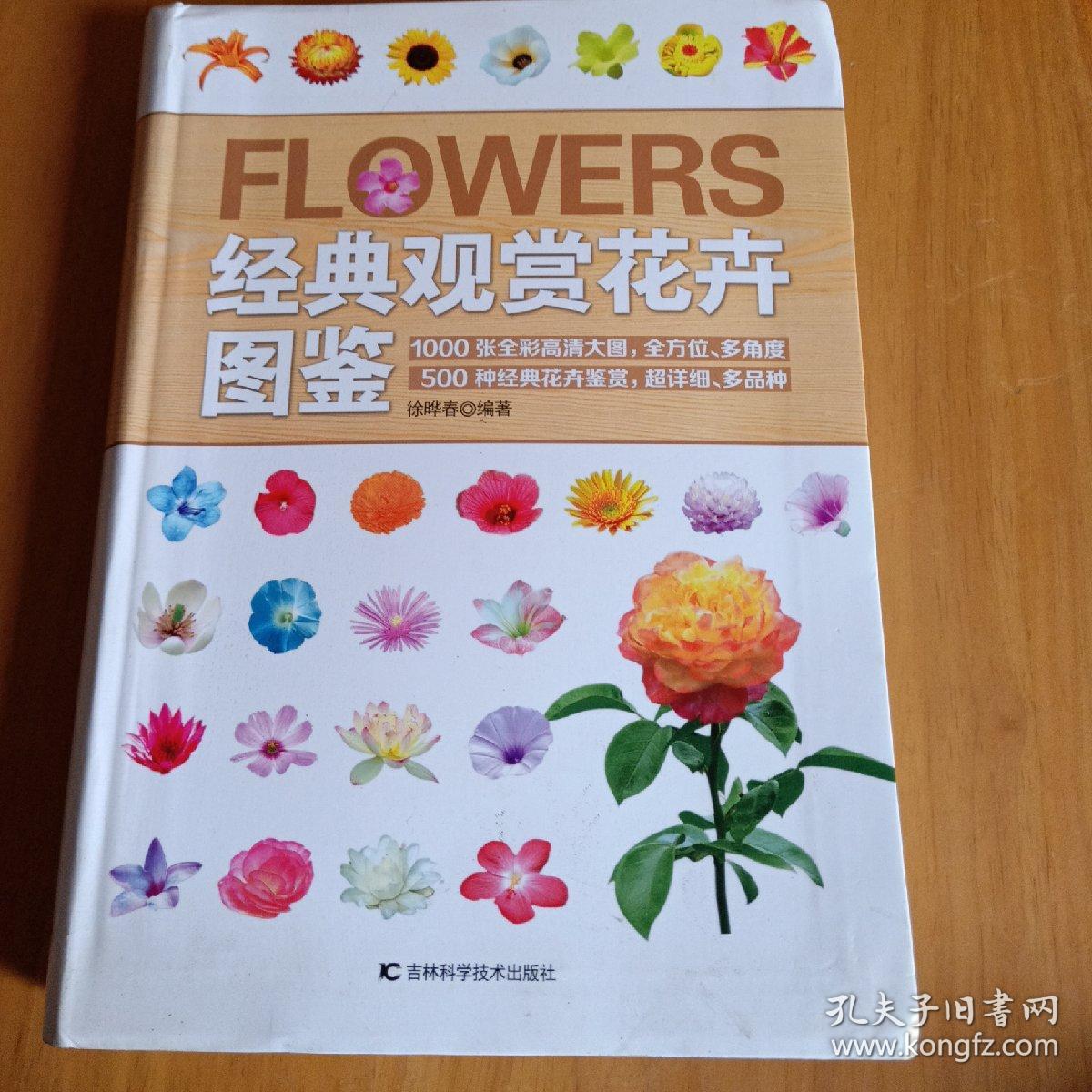 经典观赏花卉图鉴