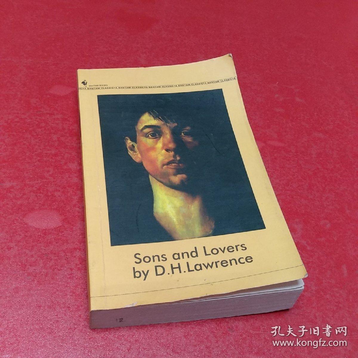 sons and lovers,the rainbow sons and lovers 儿子与情人(英文版)