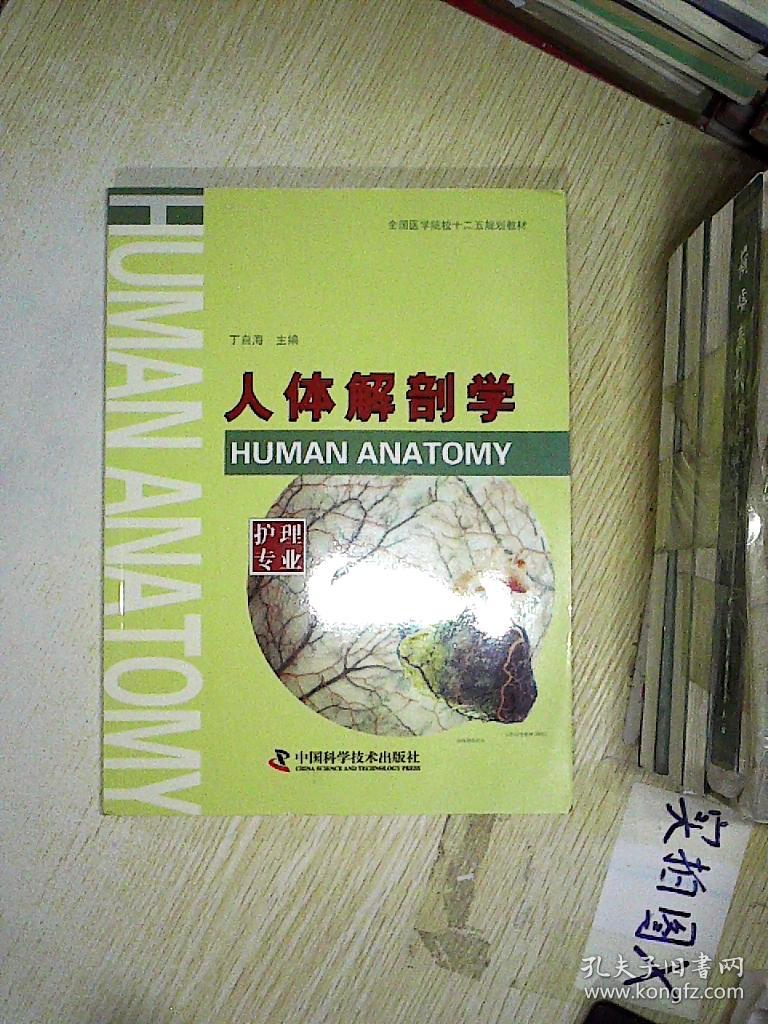 人体解剖学