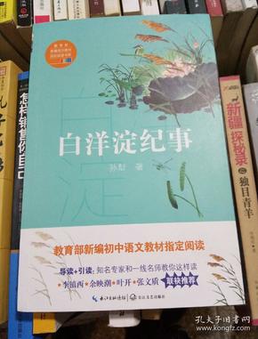 白洋淀纪事