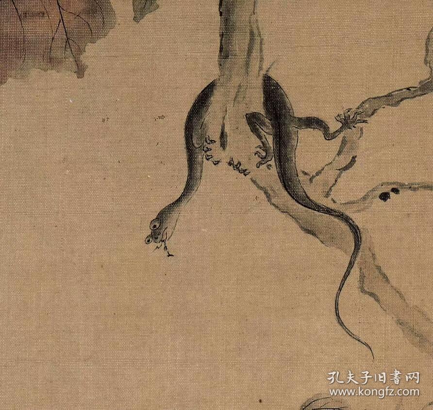 华喦-花鸟草虫图八开.每页大小20.32*27.39厘米.