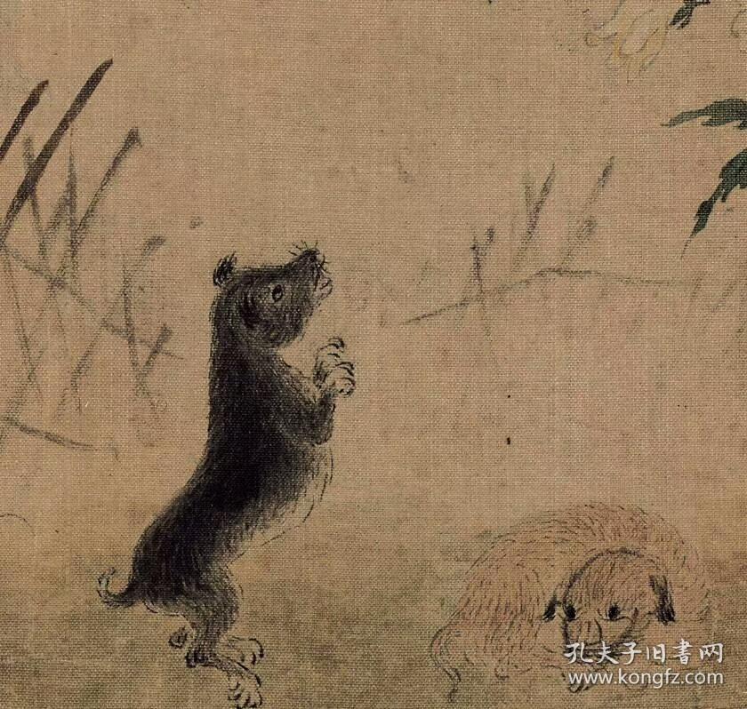 华喦-花鸟草虫图八开.每页大小20.32*27.39厘米.