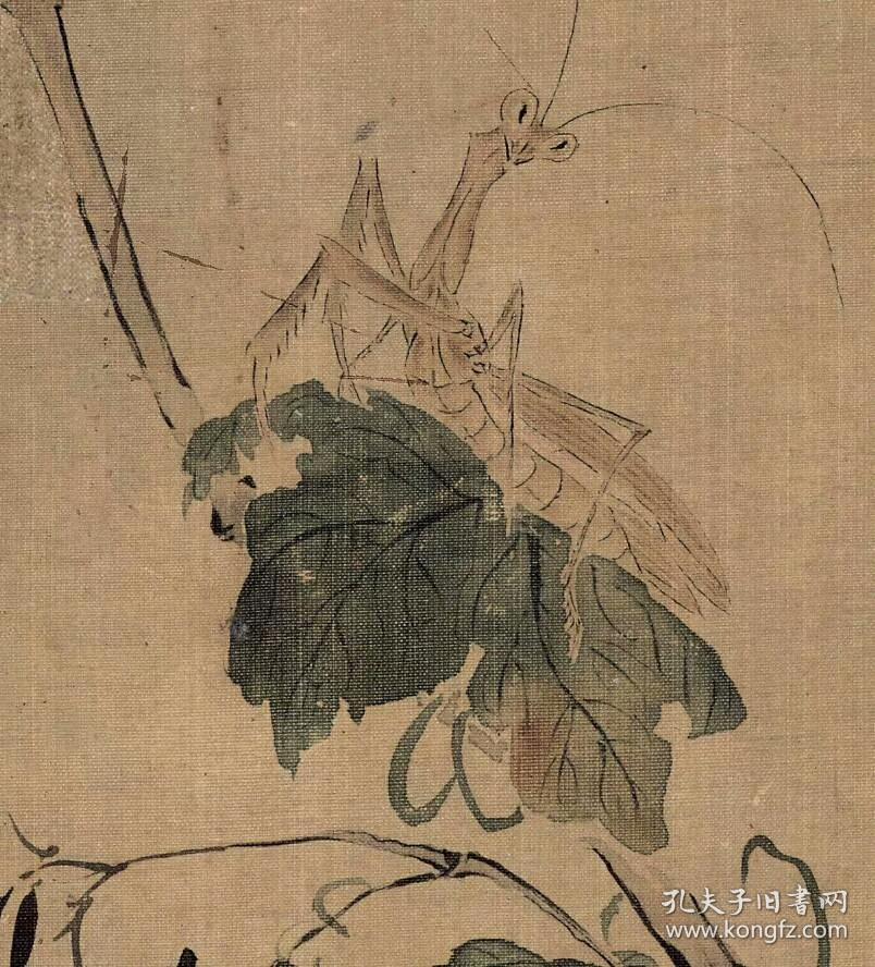华喦-花鸟草虫图八开.每页大小20.32*27.39厘米.