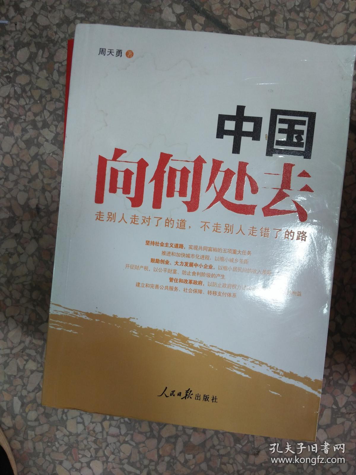中国向何处去