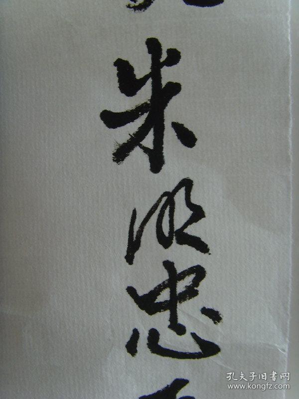 朱明忠:画:出淤泥而不染
