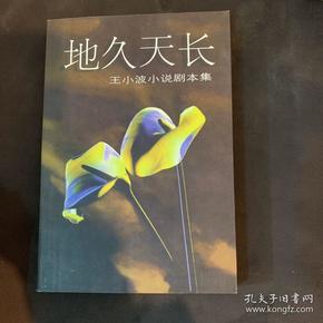 地久天长:王小波小说剧本集